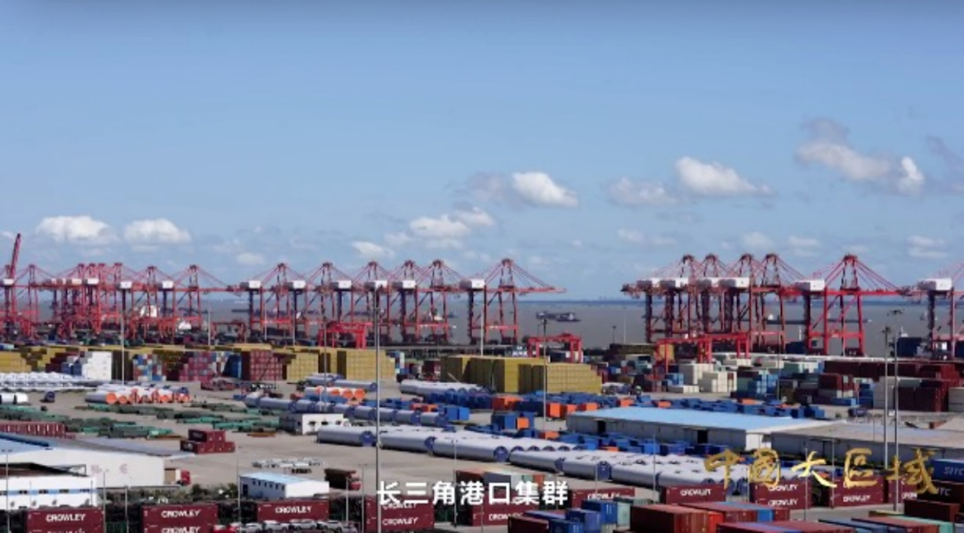 全球前50大港口，超一半在中国！这一区域独揽10席！